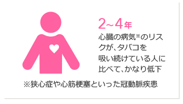 2〜4年 心臓の病気※のリスクが、タバコを吸い続ける人に比べて、かなり低下 ※狭心症や心筋梗塞といった冠動脈疾患