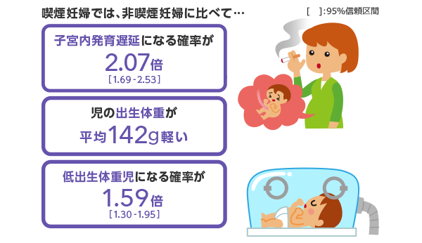 喫煙妊婦では、非喫煙妊婦に比べて 子宮内発育遅延になる確率が2.07倍※ 児の出生体重が平均142g軽い※ 低出生体重児になる確率が1.59倍※